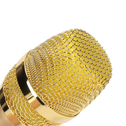 Wireless Microphone (ST-921)
