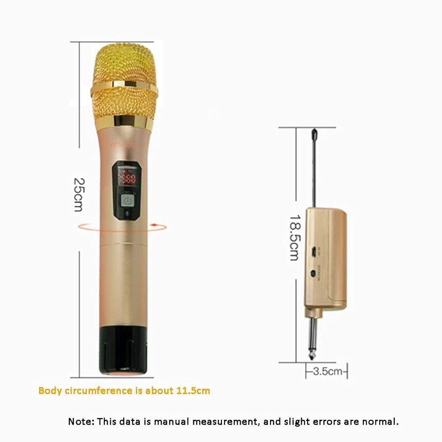 Wireless Microphone (ST-921)