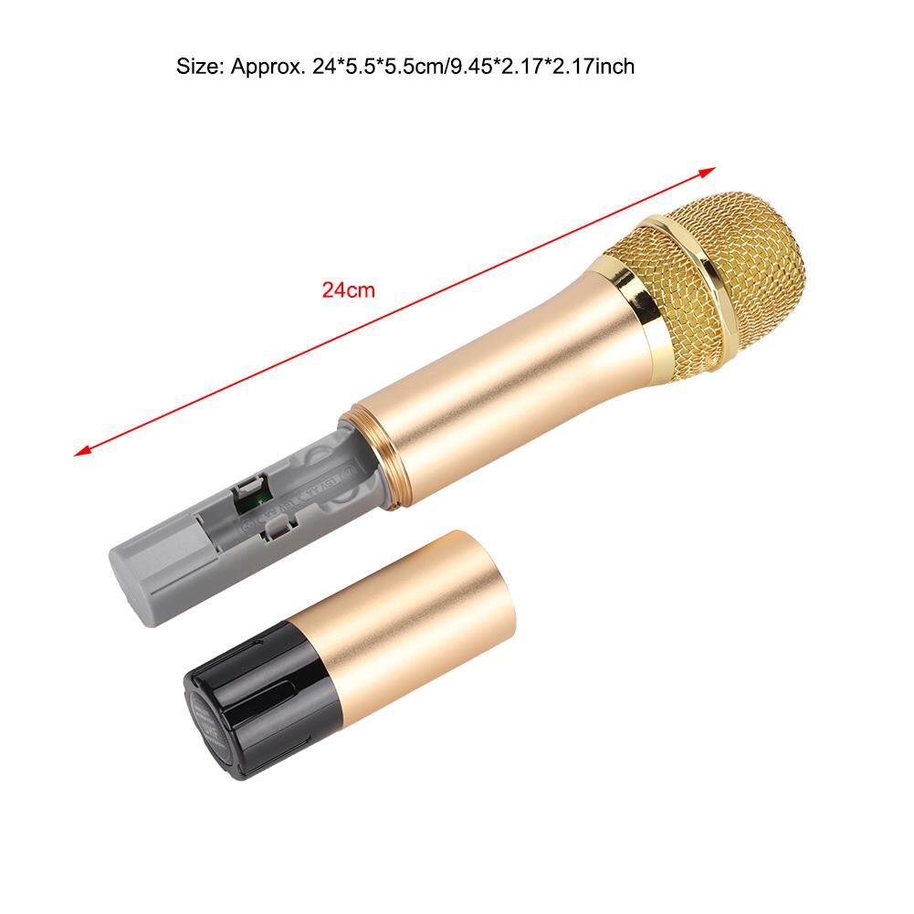 Wireless Microphone (ST-921)