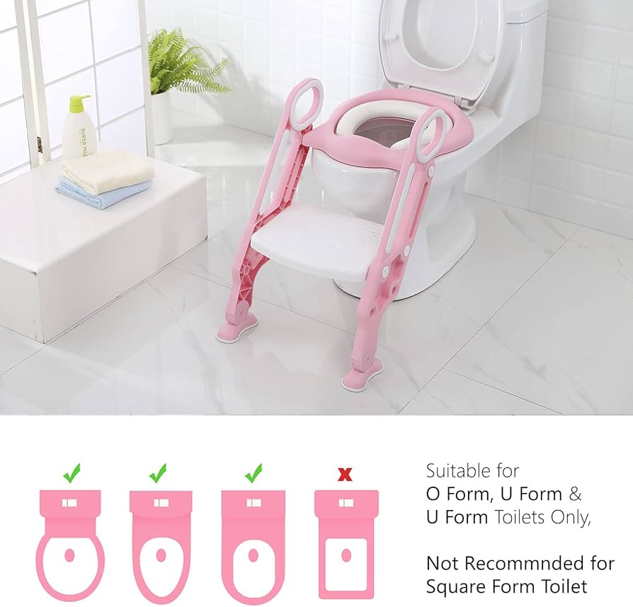 Potty Training Ladder