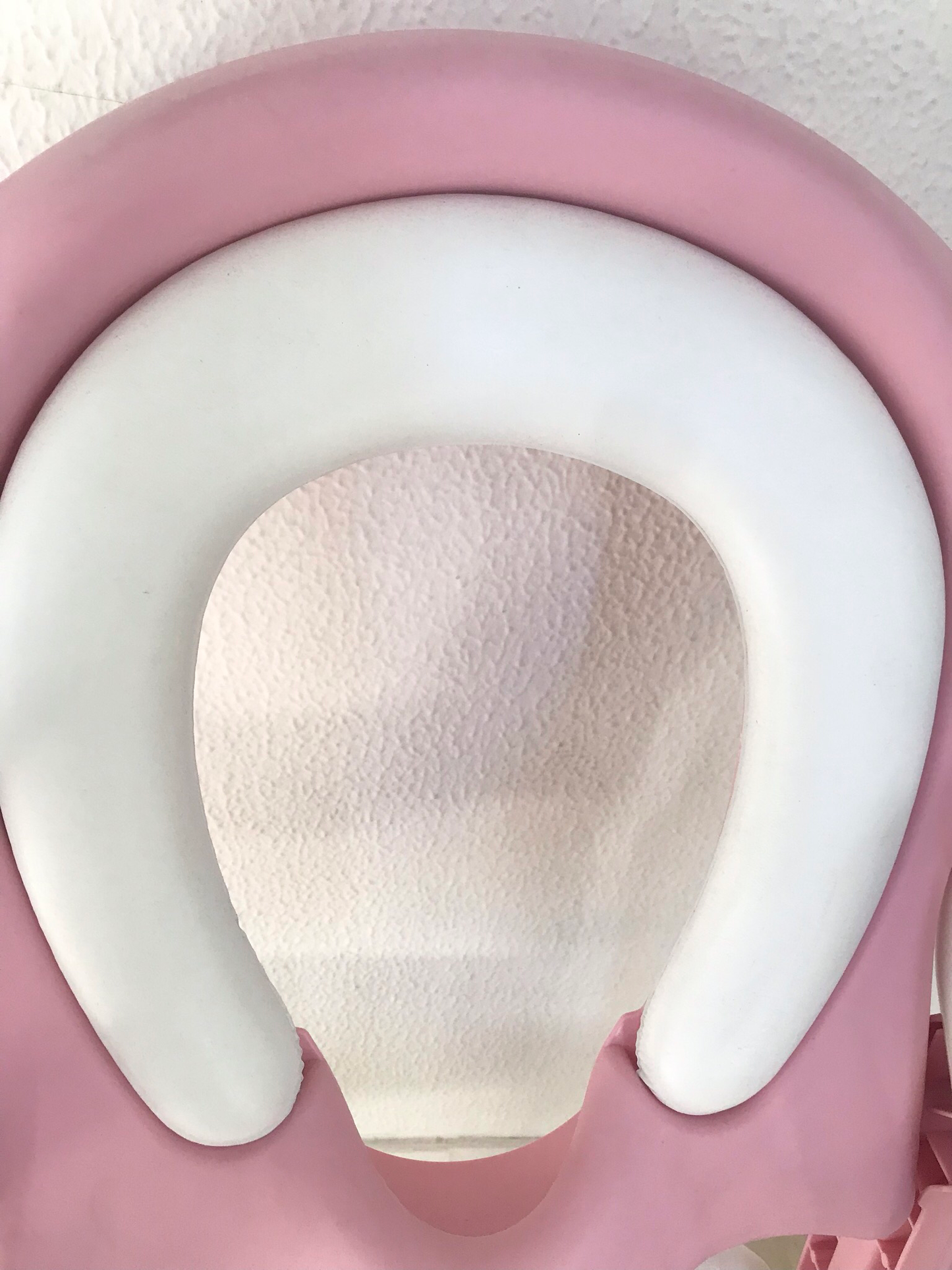 Potty Training Ladder