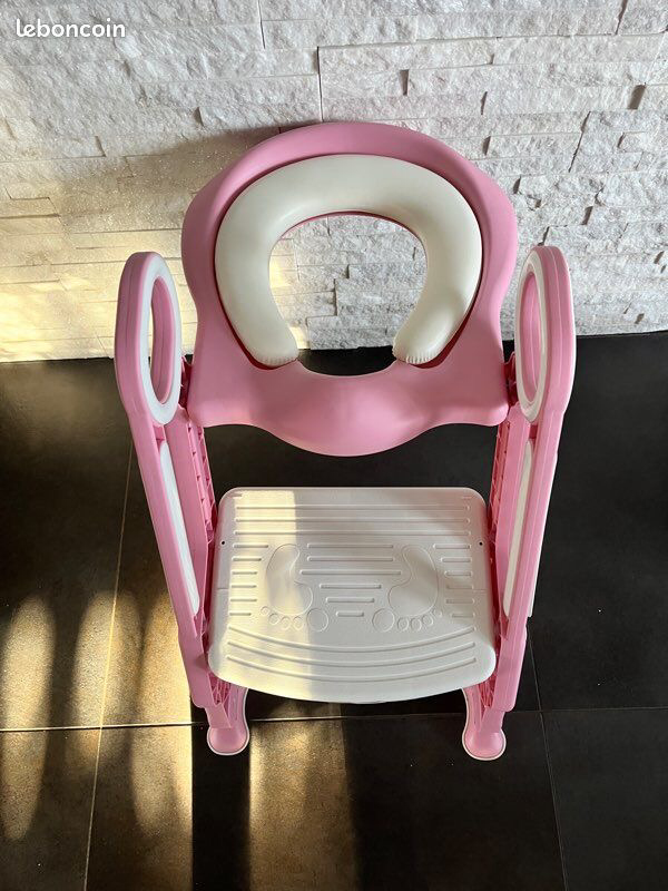 Potty Training Ladder