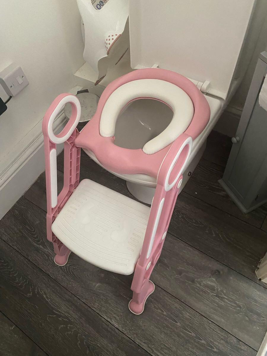 Potty Training Ladder