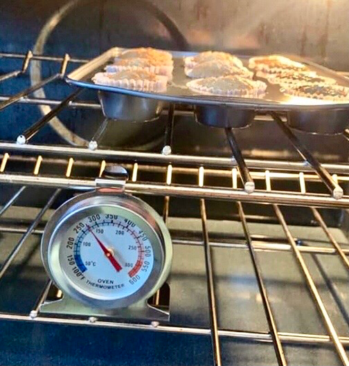 Oven Thermometer