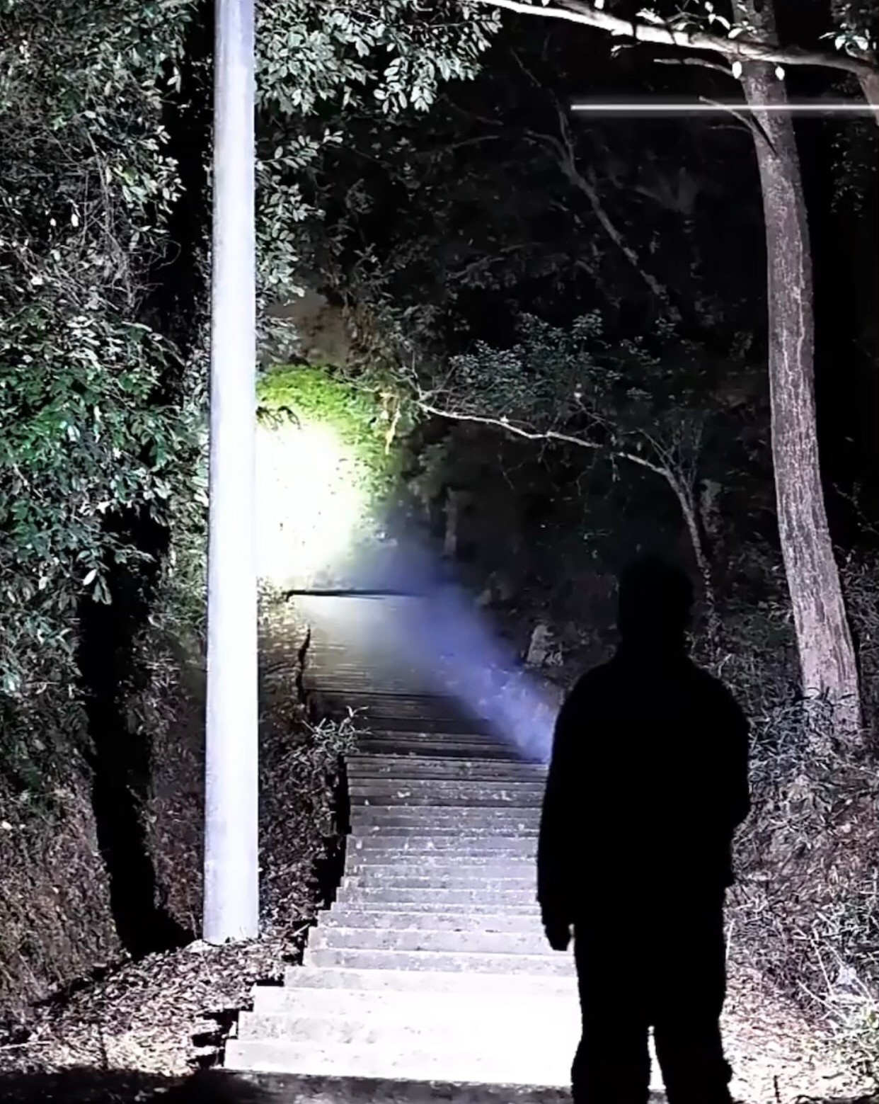 Flashlight (LL-838)
