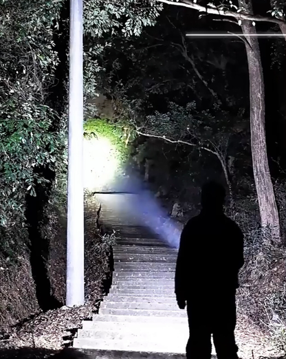 Flashlight (LL-838)