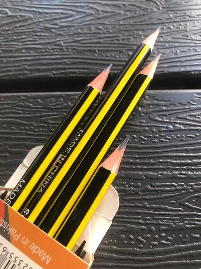 12-Pcs Pencils (HB)