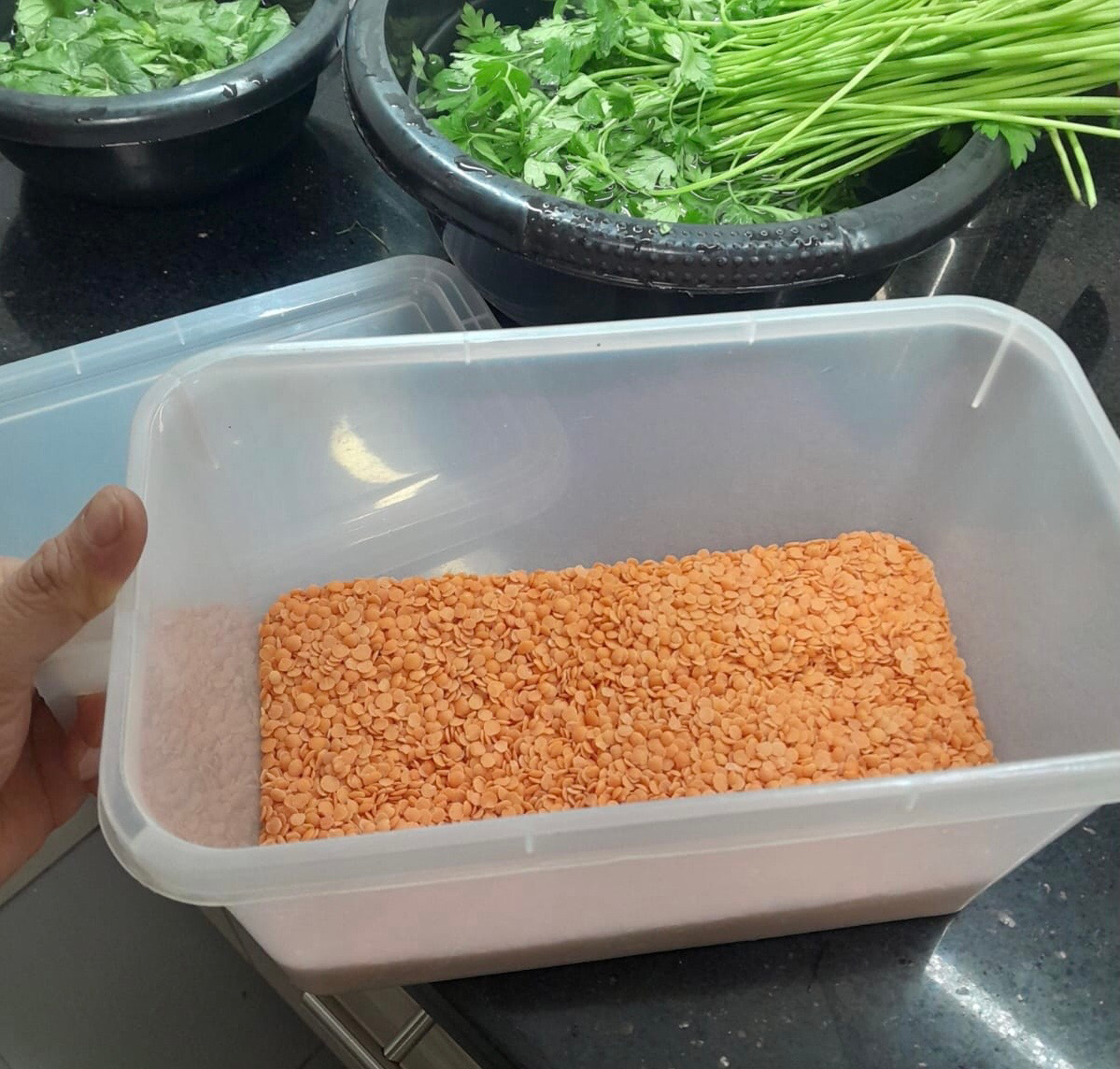 Handled Container
