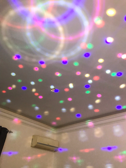 Bluetooth Disco Ball