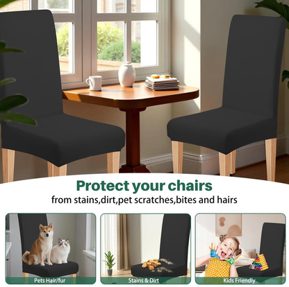 Elastic Chair Cover