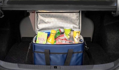 Large Delivery Bag