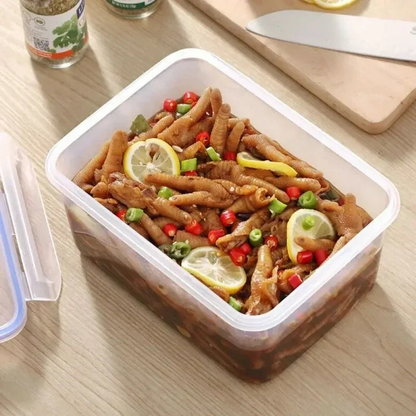 “Phoenix” Plastic Container