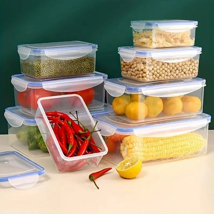 “Phoenix” Plastic Container