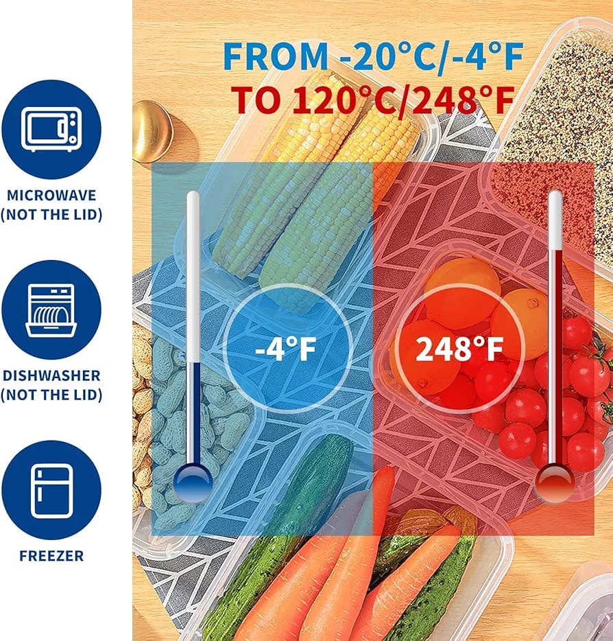 “Phoenix” Plastic Container