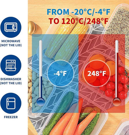 “Phoenix” Plastic Container