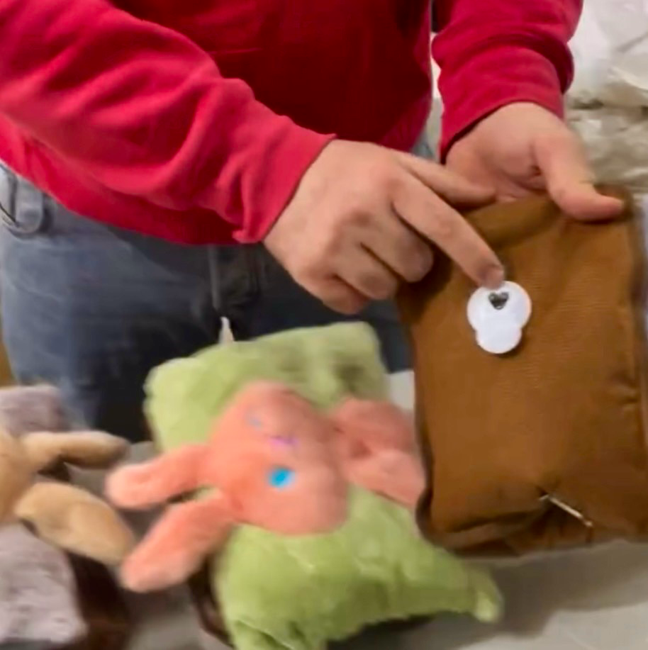 Electric Water Bag (Plush)