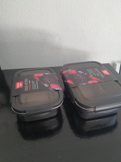 Stainless Steel Food Container