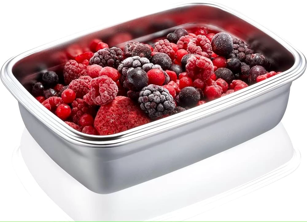 Stainless Steel Food Container