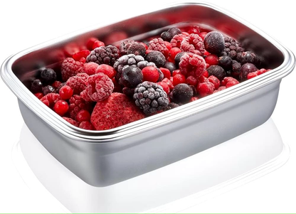 Stainless Steel Food Container