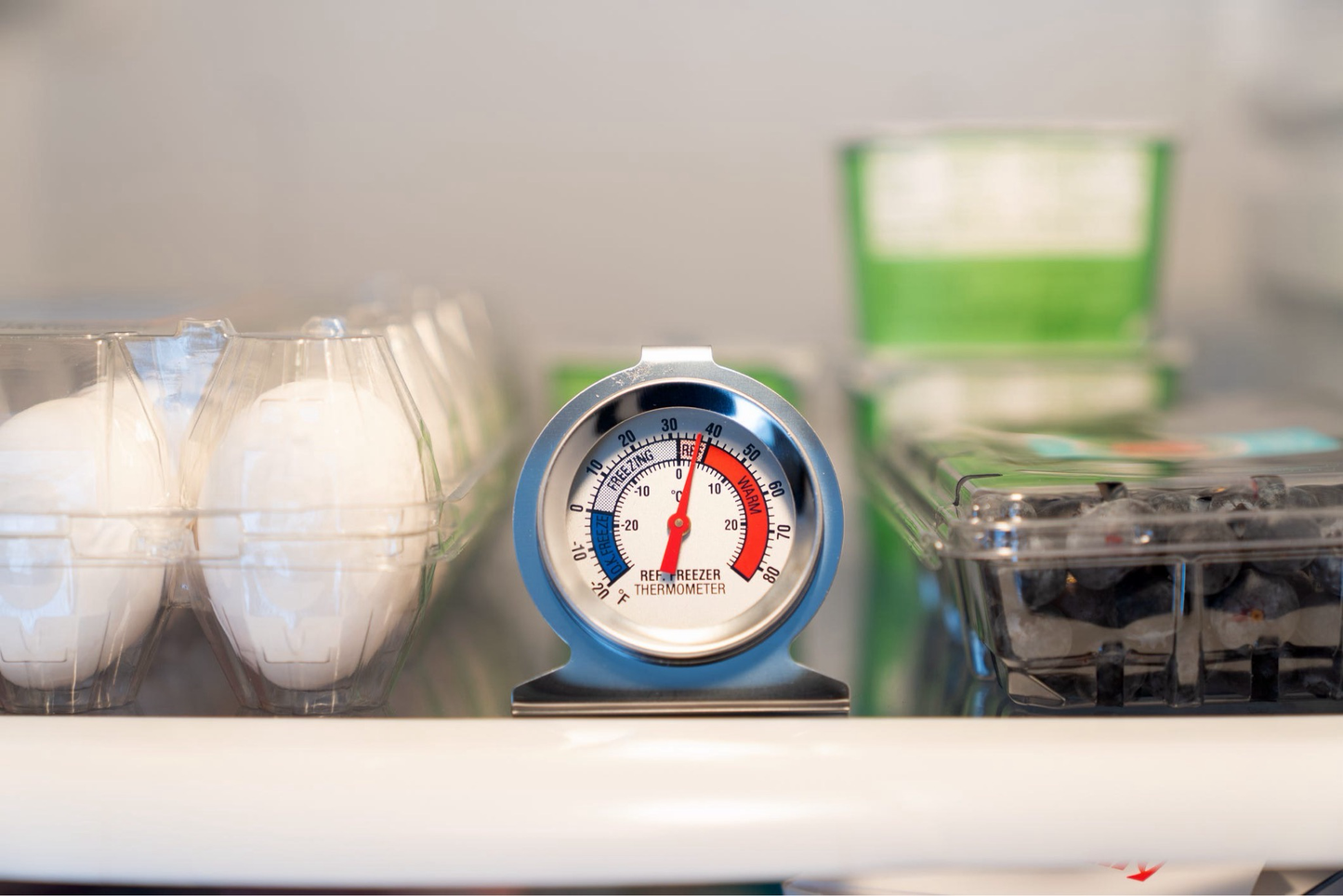 Freezer/ Fridge Thermometer