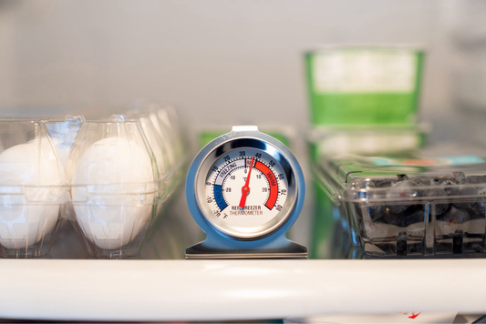 Freezer/ Fridge Thermometer