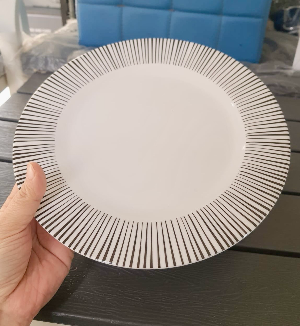 6-Pcs 10” Melamine Flat Dishes (BET-210)