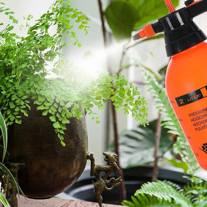 2L Pump Sprayer