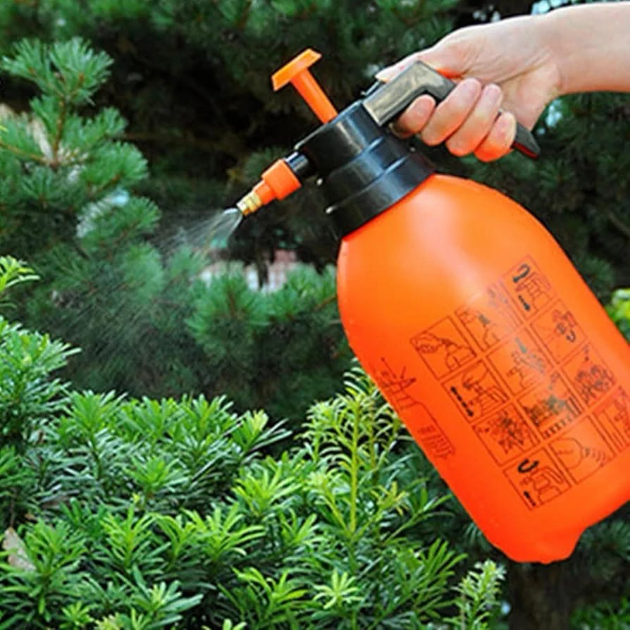2L Pump Sprayer