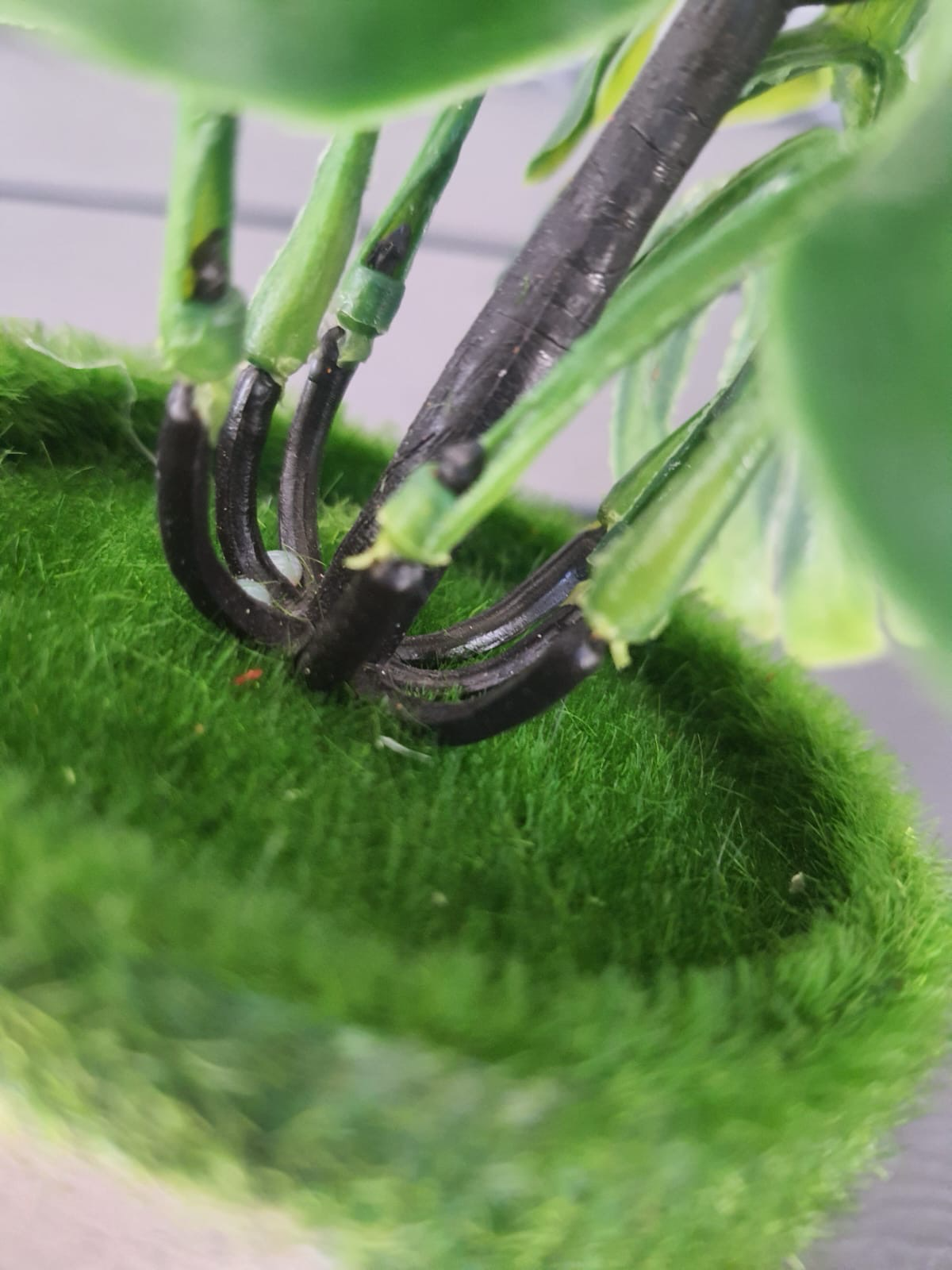 Small Artificial Plant