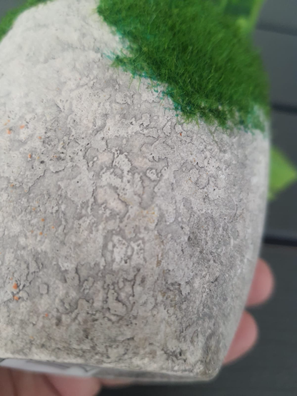Small Artificial Plant