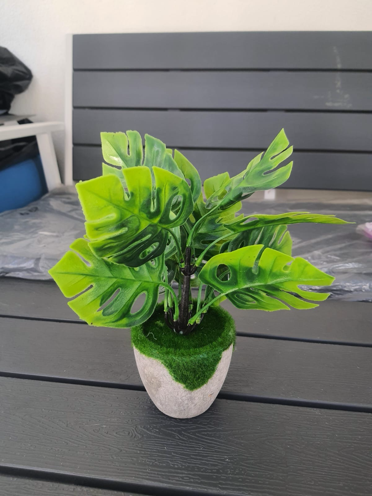 Small Artificial Plant