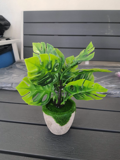 Small Artificial Plant