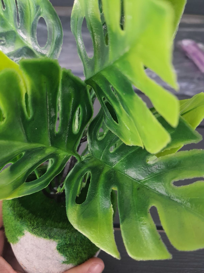 Small Artificial Plant