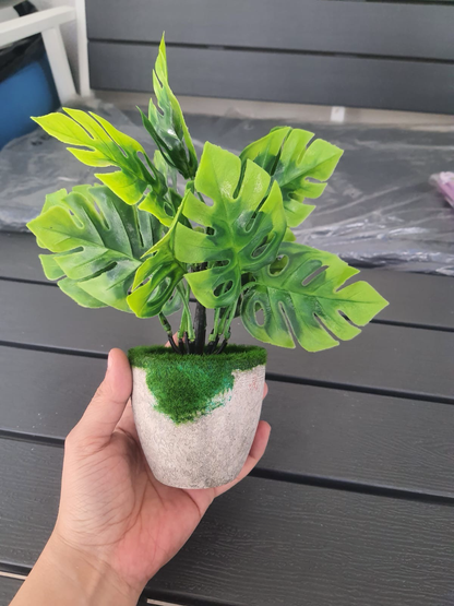 Small Artificial Plant