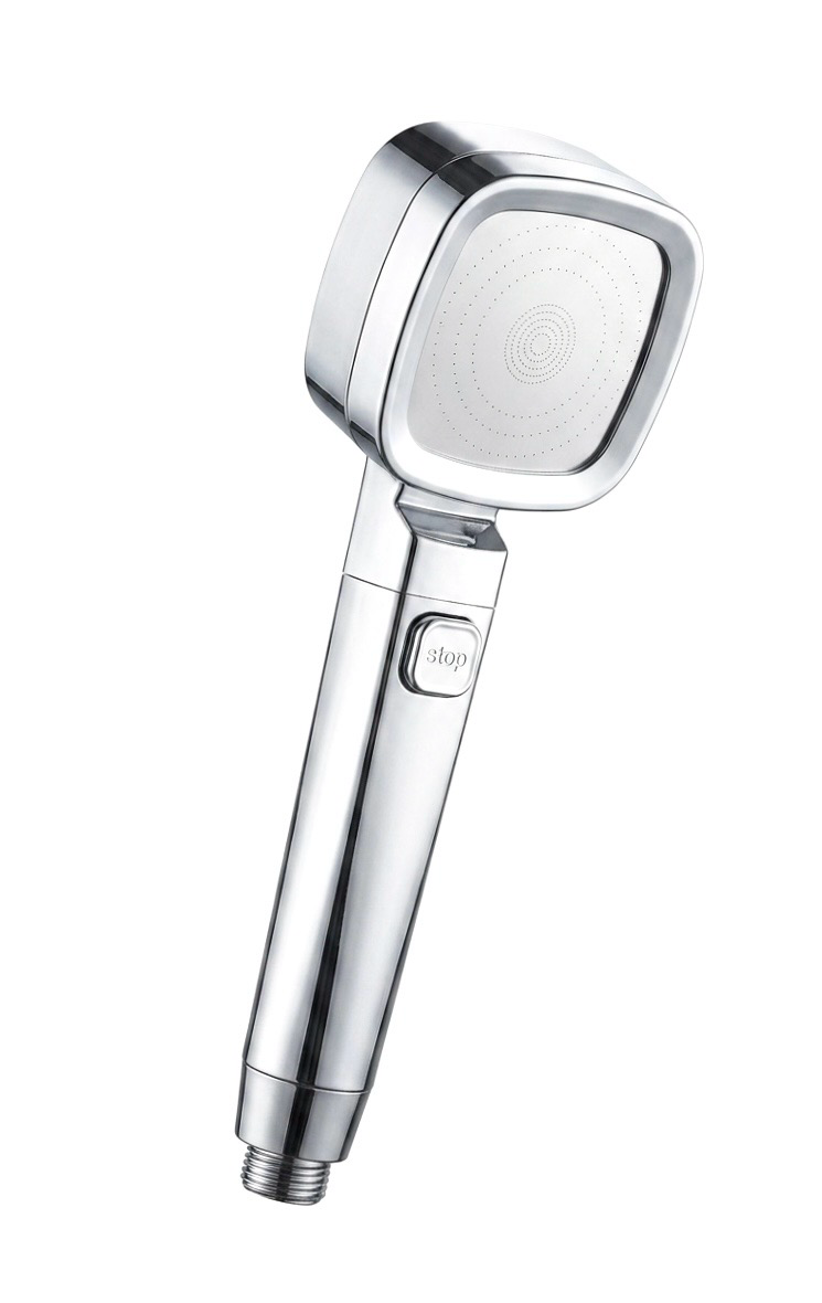 Silver Shower Head
