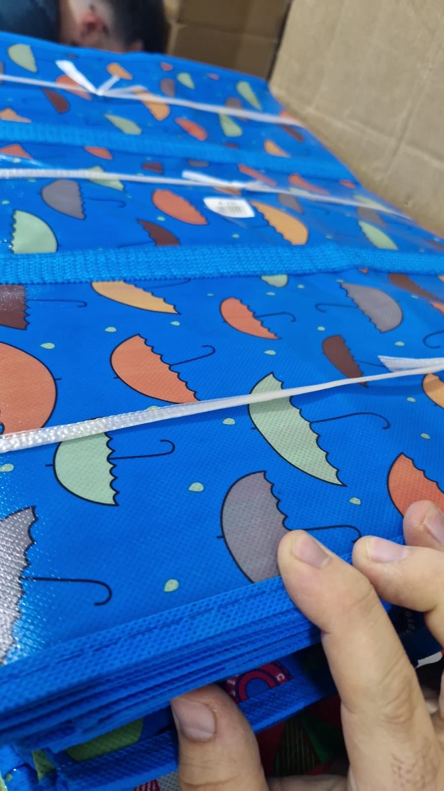 Moving Bag (60x80cm)