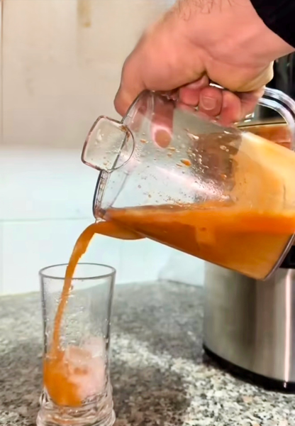 Juice Extractor (ZB700W)