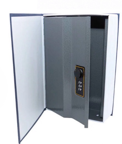 Small Dictionary Booksafe