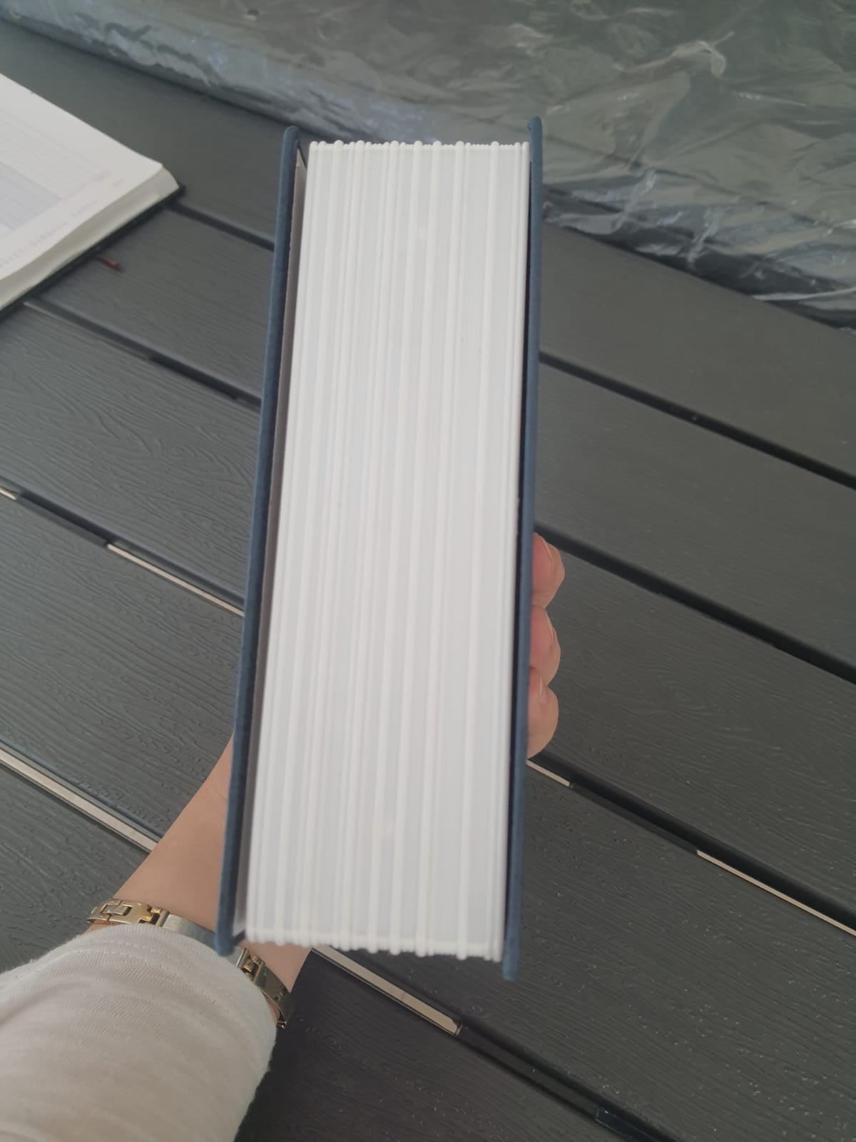 Small Dictionary Booksafe