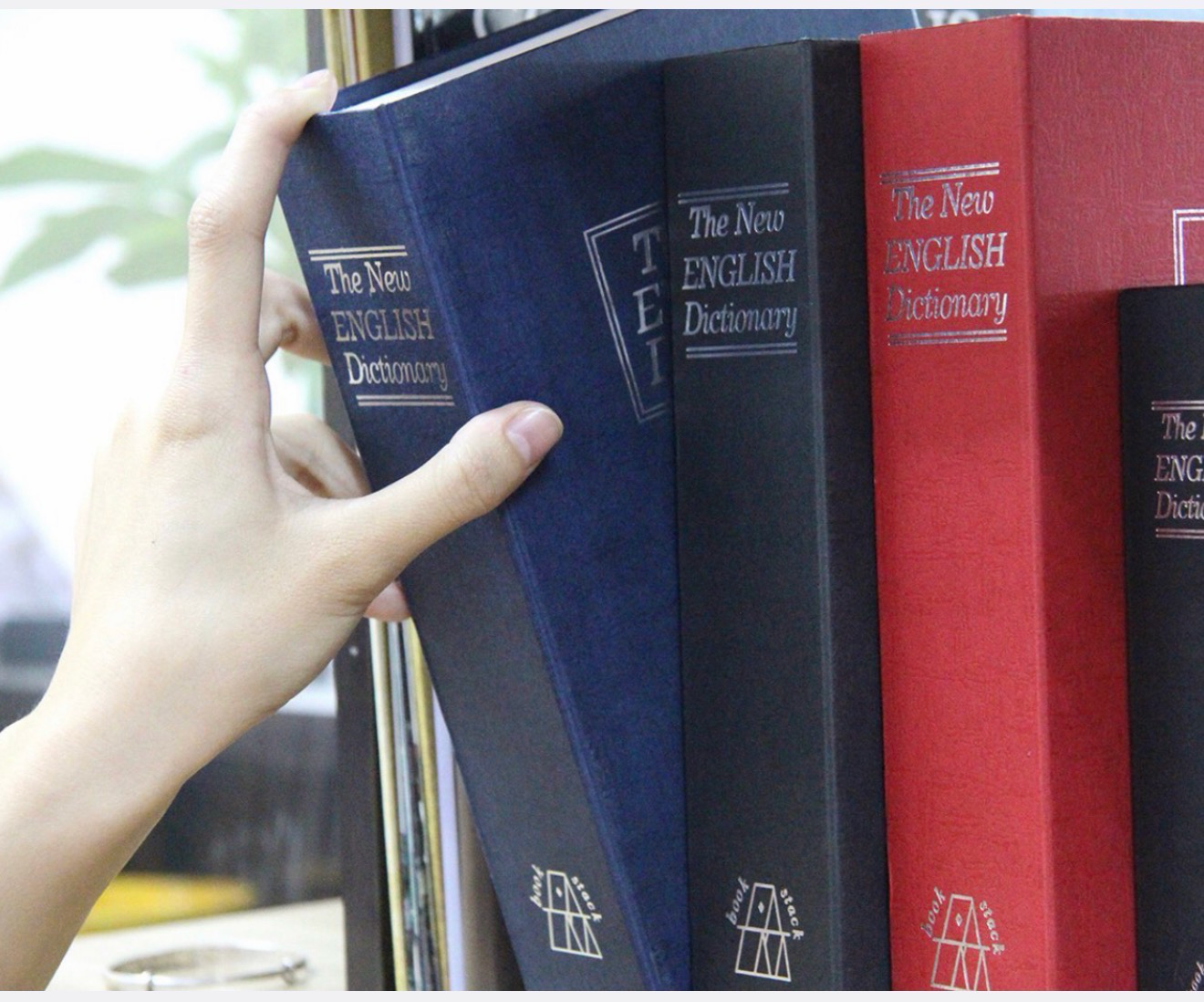 Dictionary Booksafe