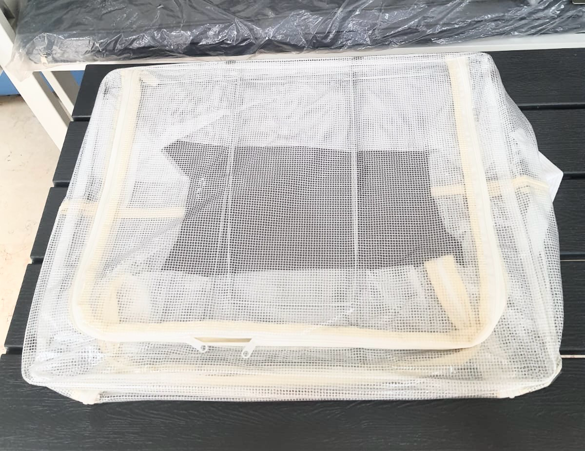 Transparent Storage Box
