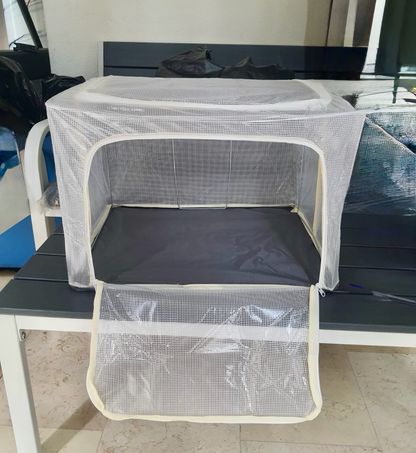 Transparent Storage Box