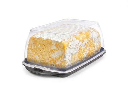 Plastic Butter Dish