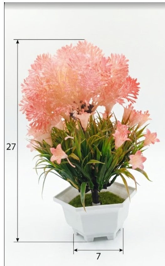 Pink flowering bonsai